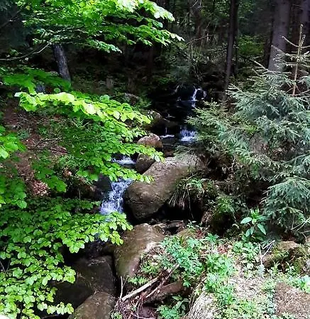 Saneczkowa3.10 Apartmán *