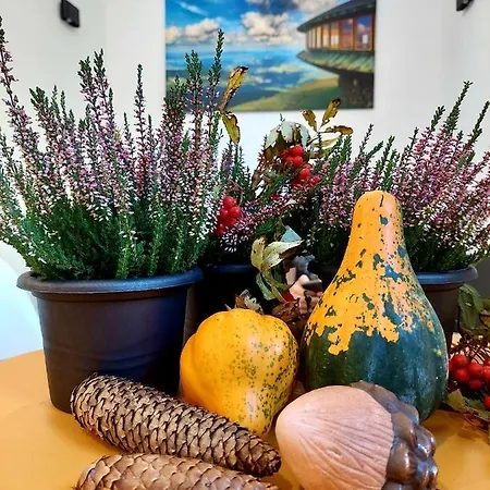 Apartment Saneczkowa3.10 *