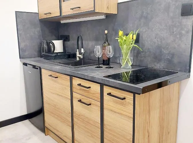 Apartment Saneczkowa3.10 Karpacz