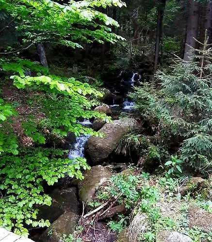 Saneczkowa3.10 Appartement *