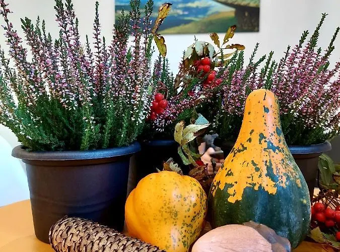 Apartment Saneczkowa3.10 *